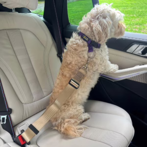 Dog In-Car Adjustable Seat Belt